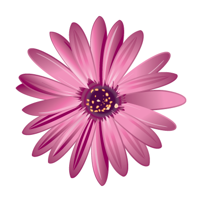 دورة قصيرة 2