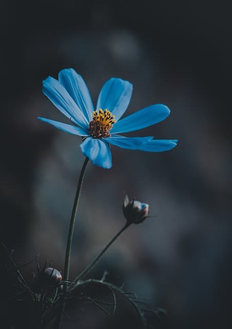 مقالة 2